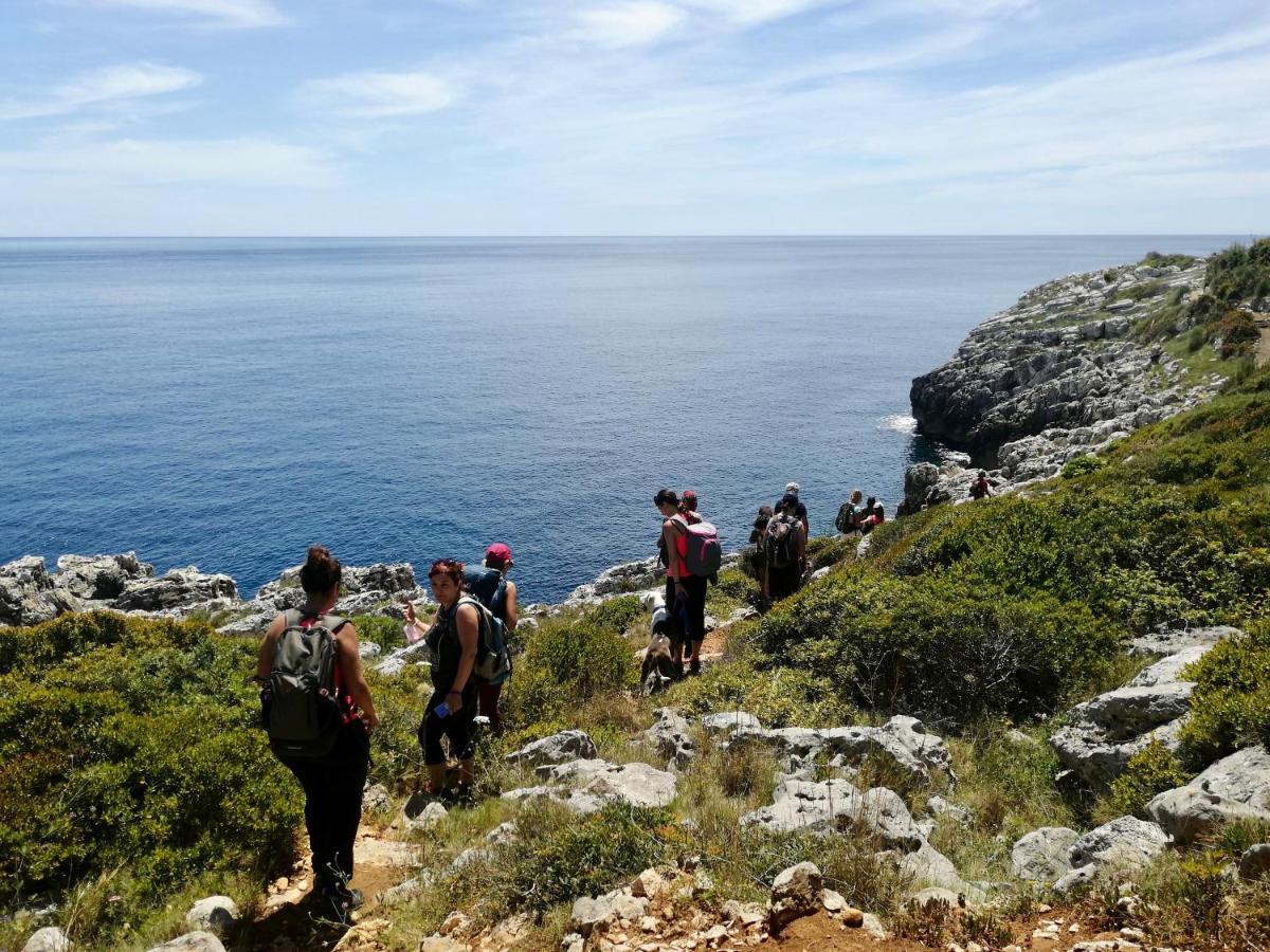 فندق Volito Rural Experience Patù المظهر الخارجي الصورة