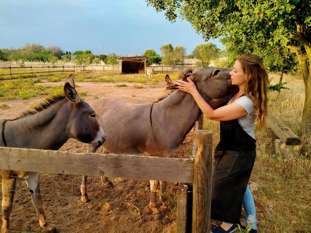 فندق Volito Rural Experience Patù المظهر الخارجي الصورة